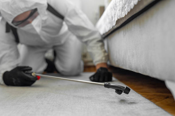 Professional Ant Control technician working in Neffs, OH