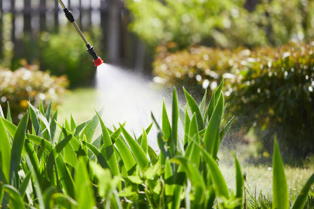 24/7 Emergency Ant Control experts in Neffs, OH