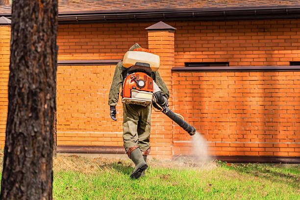 Top rated local Ant Control specialists in Neffs, OH